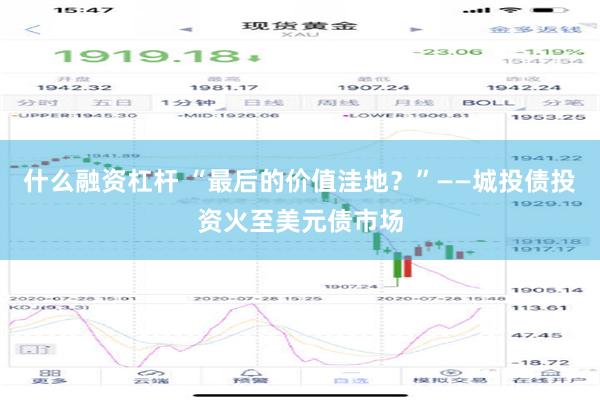 什么融资杠杆 “最后的价值洼地？”——城投债投资火至美元债市场