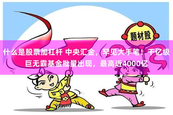 什么是股票加杠杆 中央汇金，罕见大手笔！千亿级巨无霸基金批量出现，最高近4000亿