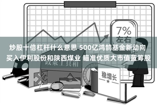 炒股十倍杠杆什么意思 500亿鸿鹄基金新动向 买入伊利股份和陕西煤业 瞄准优质大市值蓝筹股