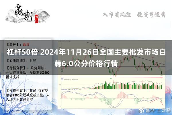 杠杆50倍 2024年11月26日全国主要批发市场白蒜6.0公分价格行情