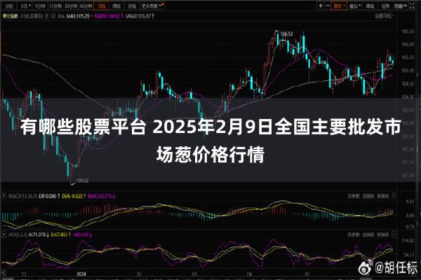 有哪些股票平台 2025年2月9日全国主要批发市场葱价格行情